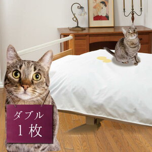 y1_uTCY zL  Xv[ ΍ p ͂ |zcJo[ i ͂ V[g Xv[ AH zcJo[ xbhJo[ h ΍ qf 悾  A L yb