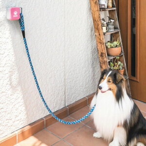 yAEgbgiiOpbP[WݗLjzhM[tbN DG-FKK lp OA~ ybgtbN  p [htbN |y݌Ɍz