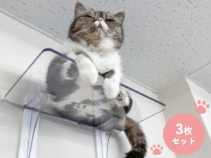 ^JY PC4022-3S LbgXebviʗpj3Zbg Lp p Ǖt^Cv ybgpi  NA LbgEH[N  킢 