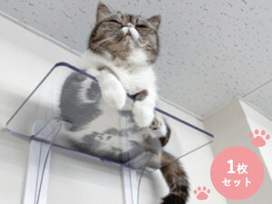 ^JY PC4022 LbgXebviʗpj1Zbg Ǖt^Cv ybgpi Lp p  NA LbgEH[N  킢 