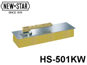 tAqW uHS-501KWv Xgbvt S݂莩RJ px^Cv {hA[`FbNЁy[J[񂹕iz