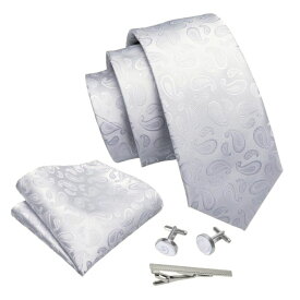 ネクタイ チーフ タイピン カフス 4点 セット メンズ おしゃれ フォーマル プレゼント ホワイト 小柄ペイズリー(メール便 送料無料)