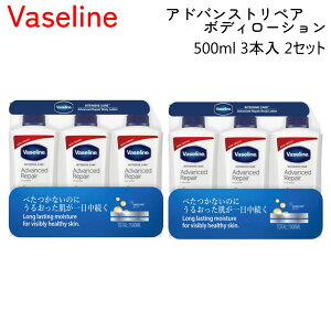 2Zbg @Z AhoXhyA {fB[V 500ml 3{ XLPA  q {fBN[