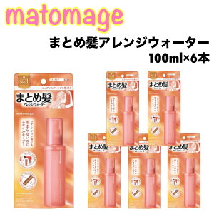 }g[W ܂Ƃߔ AWEH[^[ 100g x 6{ ~Xg^Cv  L[eBN