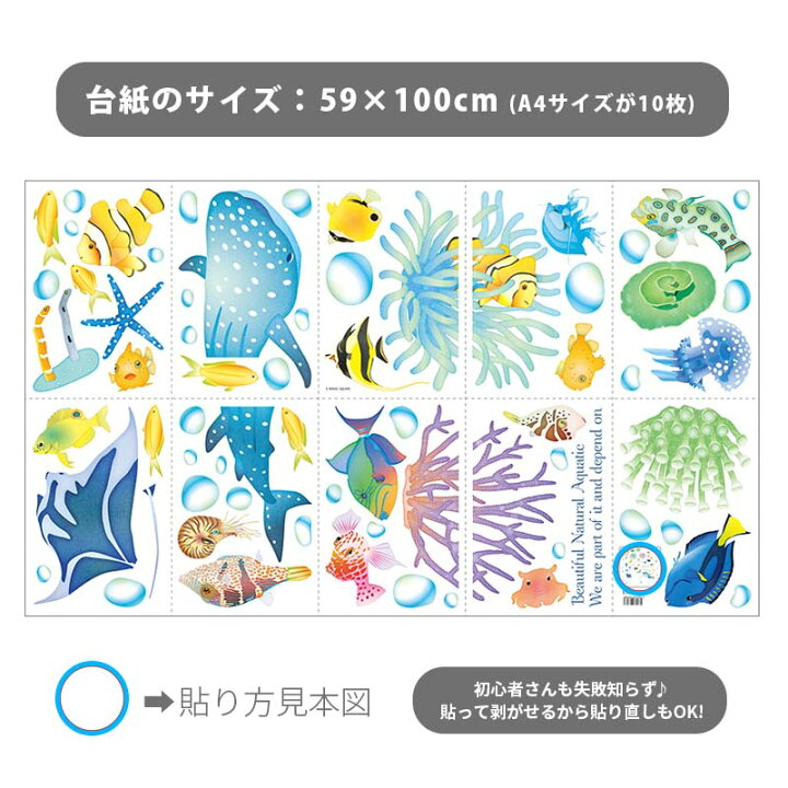 楽天市場 15日はエントリー カード利用でp5倍 海の日 フォトブース 夏 飾り デコレーション おうち水族館フォトブースセット 魚 水族館 ジンベイザメ 店内装飾 店舗装飾 内装 イベント 装飾 パーティー 記念 おしゃれ かわいい ウォールステッカーのスクウェア