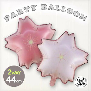 D o[    y2WAYz 44cm p[eB[ tBo[ zCo[   t TN  w  Ղ l ЂȂ ЂȂ܂ ߋ ߋ R