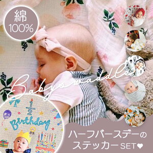 EH[XebJ[  Zbg CO Rbg 100%   K[[ K[[ މ@ Ԃ K[[Pbg xr[ n[to[Xf[ 6 100j Sj  