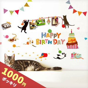 1000~|bL  EH[XebJ[ o[Xf[ a ˂ L ynbs[ɂ`Xf[z ͂  V[ XebJ[ ǎ   ʐ^̔wi 1 2 6 S j̎q 