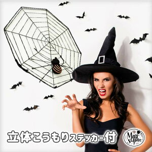 nEB  K[h yw偂̑lbgz 傫 41×41cm p[eB[ CO S k t    킢 w  N XpC_[ ǖʏ  IuWF I[