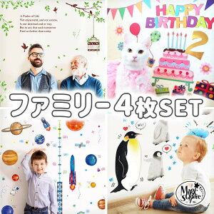 EH[XebJ[ Zbg yt@~[4Zbgzo[Xf[ n[to[Xf[ a ͂  V[ XebJ[ ǎ   k A  t   ϗtA a g