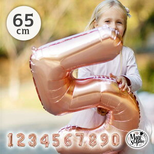 yoz[։ sNS[h 65cm o[ D 傫  io[ ̕D a o[Xf[ y io[o[ sNS[h z  p[eB[ LL 
