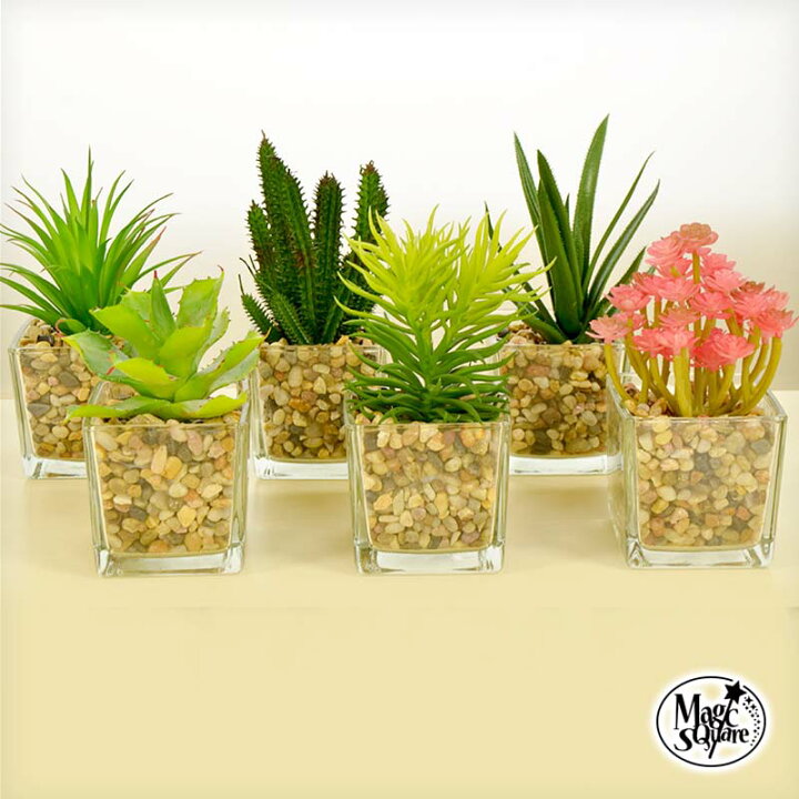 楽天市場 マジックスクウェア 6種類から選べる フェイクグリーン キューブ 飾り 造花 多肉植物 観葉植物 北欧 新築祝い プレゼント カフェ風 新生活 おしゃれ パルダリウム テラリウム 飾り付け 鉢 植木鉢 電球 吊るす エアプランター ウォールステッカーのスクウェア 楽天市場 マジックスクウェア 6種類から選べる フェイクグリーン キューブ 飾り 造花 多肉植物 観葉植物 北欧 新築祝い プレゼント カフェ風 新生活 おしゃれ パルダリウム テラリウム 飾り付け 鉢 植木鉢 電球 吊るす エアプランター ウォールステッカーのスクウェア