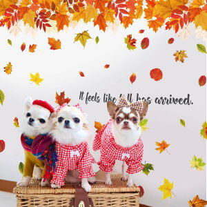 ウォールステッカー 秋 紅葉 落ち葉 【紅葉】 はがせる 壁 シール ステッカー 壁紙 飾りつけ 飾り おしゃれ 北欧 植物 木 葉 草 花 観葉植物 お月見 満月 団子 うさぎ 十五夜 名月 お団子 すす