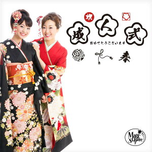 EH[XebJ[ y l@ z [։ l l̓ 20 \ VN 2020 V[ Vl  tHgu[X LO LOBe LOʐ^  a { a 󒍈