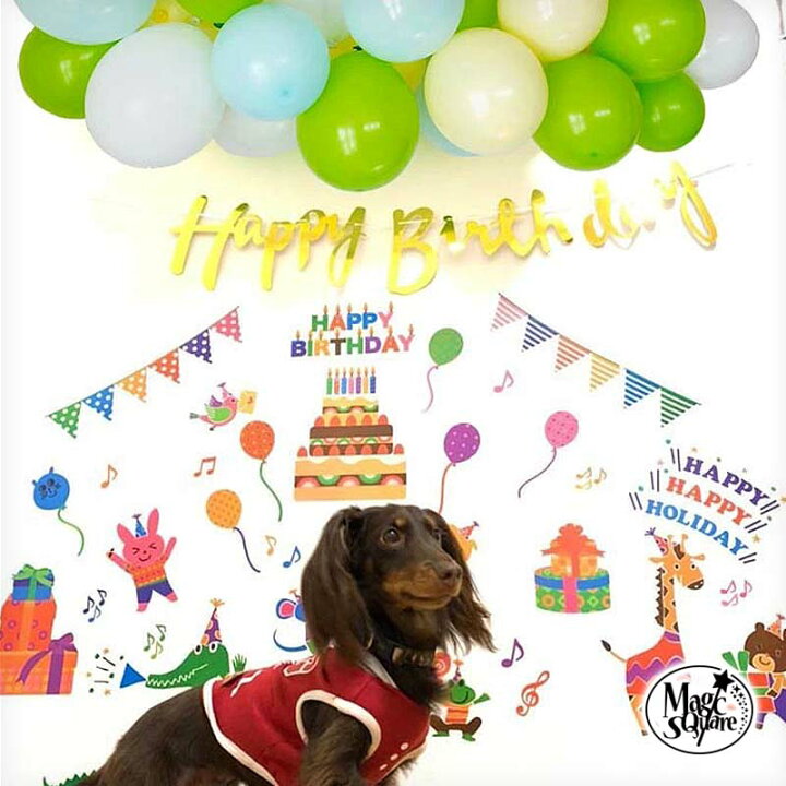 楽天市場 ペット Dog 犬 いぬ イヌ 誕生日 飾り ウォールステッカー 飾り付け バースデー 装飾 かざりつけ パーティー バルーン 風船 デコレーション 猫 ねこ ネコ Cat Happy Birthday インスタ映え フォトブース 楽天限定 ウォールステッカーのスクウェア