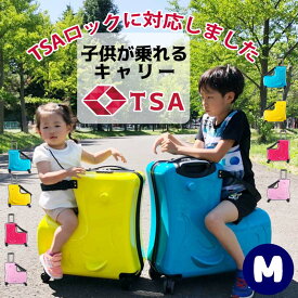 楽天市場 子供用 キャリーケースの通販 楽天市場 子供用 キャリーケースの通販