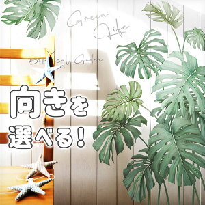 EH[XebJ[ Xe  yw̍Xez ͂  V[ XebJ[ ǎ   k A  t   ϗtA t O[ 썑 nC ][g 