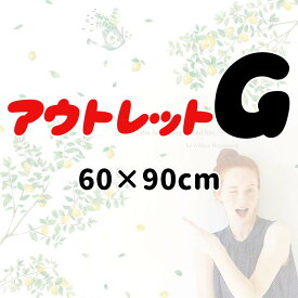 ウォールステッカー 【 アウトレット G 500円】 60×90cm 訳あり シール式 壁シール 賃貸OK 貼ってはがせる 壁シール 北欧 木 花 鳥 英字 雑貨 ガラス 窓 DIY レディース キッズ 子ども かわいい バナー パーティー 飾りつけ ベビーシャワー