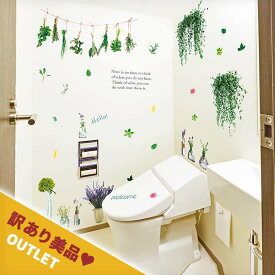 訳あり美品 アウトレット ウォールステッカー はがせる 壁 シール ステッカー 大きい 壁紙 飾りつけ 飾り おしゃれ 北欧 植物 木 葉 草 花 観葉植物 フルーツ 果物 檸檬 爽やか エレガント 大人っぽい スペシャルグリーン