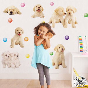 EH[XebJ[  y Puppies z 50×70cm ǃV[ \Ă͂ OK  q j̎q ̎q 킢  Cxg  p[eB[  t  C  rO L