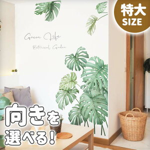 ܂t EH[XebJ[ { 傫 TCY y/w̍Xez ͂  V[ XebJ[ ǎ    k A  t   ϗtA X