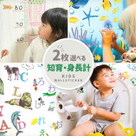 選べる 2枚 セット ウォールステッカー 賃貸OK はがせる 壁 シール ステッカー 壁紙 大きい 飾り おしゃ…