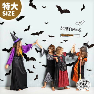  EH[XebJ[ nEB  yt[N TCYz 傫 TCY ͂  V[ XebJ[ 傫 ǎ    k A  t   ϗt