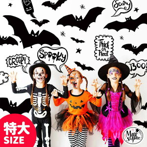  EH[XebJ[ nEB  ynEBvbvX TCYz 傫 TCY ͂  V[ XebJ[ 傫 ǎ    k A  t   