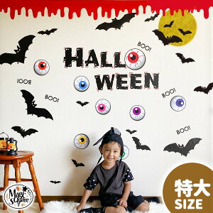  EH[XebJ[ nEB  yڋʃnEB 3Zbgz 傫 TCY ͂  V[ XebJ[ 傫 ǎ    k A  t   ϗtA 