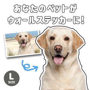  EH[XebJ[  ybg yEɈ̃ybgXebJ[()z 󒍐 ybg  uh[ ybgObY ʐ^  11 V[   vg 傫 