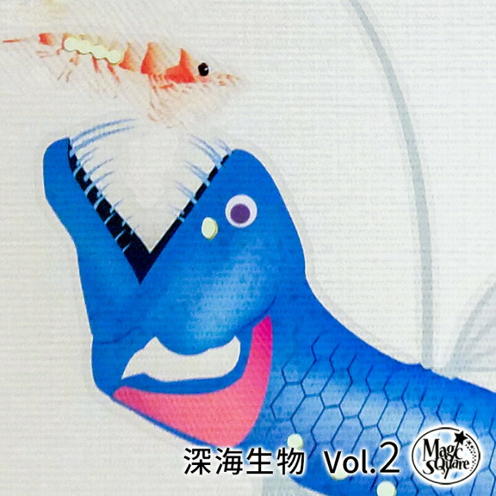 楽天市場 ウォールステッカー ホウライエソ 深海 生物 魚 オキアミ 深海生物シリーズ Vol 2 ホウライエソ オキアミ 15 32cm キモイ 怖い かっこいい かわいい 蓄光シート 光る 受注印刷 ウォールステッカーのスクウェア