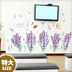 ܂t EH[XebJ[ 傫  TCY y/LAELAELAx_[z  C[X^[ ͂  V[ XebJ[ ǎ 傫    k A  t 