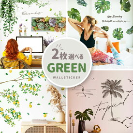 はがせる ウォールステッカー グリーン 観葉植物 飾り 【選べるグリーン2枚セット】 はがせる 壁 シール ステッカー 壁紙 飾りつけ 飾り おしゃれ 北欧 植物 木 葉 草 花 お花 おしゃれ 紅葉 鳥 プランター 鉢植え モンステラ アイビー ヤシの木 文字 英字 筆記体 印刷