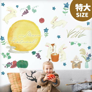 ܂t EH[XebJ[ { 傫 \ܖ  H TCY y/[tFXeBoz ͂  V[ XebJ[ ǎ    k A  t 