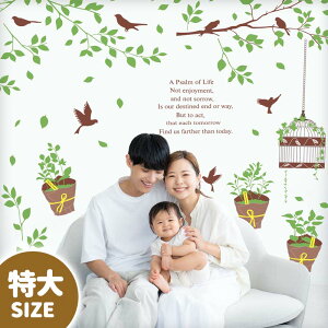 ܂t EH[XebJ[ 傫  TCY y/i`K[fz ͂  V[ XebJ[ ǎ    k A  t   ϗtA O[