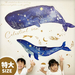 ܂t EH[XebJ[ { 傫 NW TCY y/ZXeBAV[z  V[ XebJ[ ǎ 傫    C gC TC C̒  