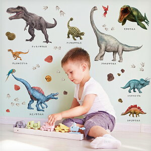 EH[XebJ[ { ͂  _Ci\[ yo悤/Az  V[ XebJ[ ǎ 傫    k A  gv q q C gC 