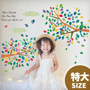 ܂t EH[XebJ[ 傫  TCY y/CtCYJtz ͂  V[ XebJ[ ǎ    k A  t   ϗtA O[