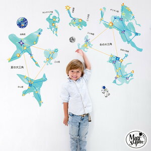 EH[XebJ[ vl^E y ̑} z   F  kl JVIyA Ă̑Op` ~̑Op`  V[ ǎ ͂  k  t q