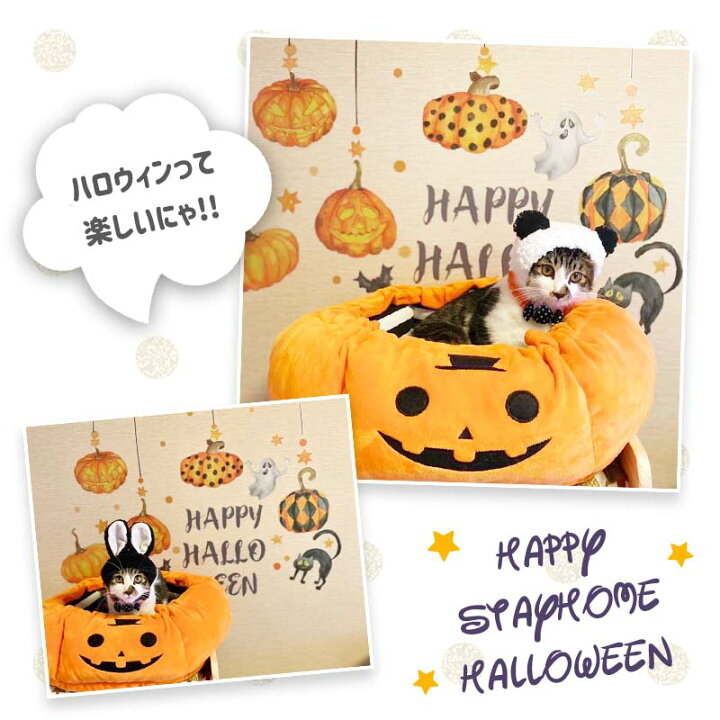ハロウィン 飾り かぼちゃ ライト コウモリステッカー12個付き 【正規取扱店】 ハロウィン 飾り かぼちゃ ライト コウモリステッカー12個付き 【正規取扱店】