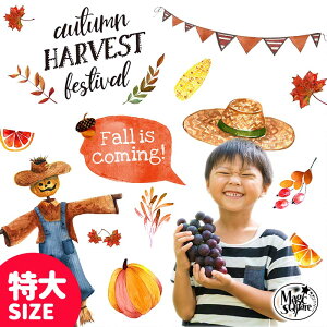 ܂t EH[XebJ[ { 傫 H TCY y/I[^n[xXgz ͂  V[ XebJ[ ǎ    k A  t   ϗtA 