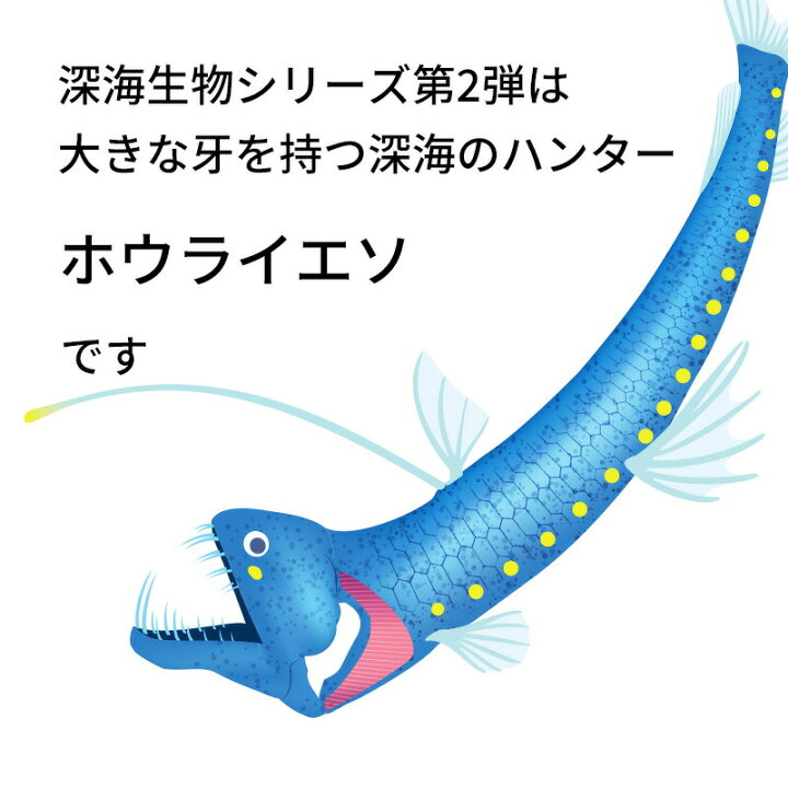 楽天市場 ウォールステッカー ホウライエソ 深海 生物 魚 オキアミ 深海生物シリーズ Vol 2 ホウライエソ オキアミ 15 32cm キモイ 怖い かっこいい かわいい 蓄光シート 光る 受注印刷 ウォールステッカーのスクウェア