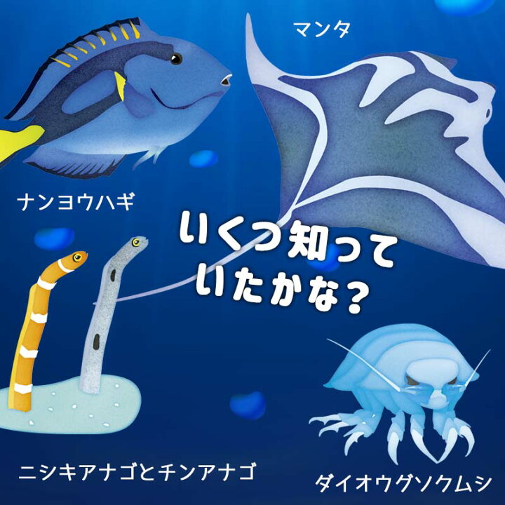楽天市場 本日1日はエントリーでp3倍 ウォールステッカー 海の生き物 魚 水族館 夏 どこでもアクアリウム 貼ってはがせる 賃貸ok キッズ シール 壁紙 ジンベエザメ ニモ 熱帯魚 知育 キッズ 子供 子供部屋 知育 勉強 幼児 教育 キッズルーム ウォール