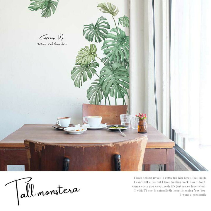 楽天市場 ウォールステッカー 壁 シール モンステラ ハワイ 夏 背の高いモンステラ 60 90cm シール式 大きいサイズ 大判サイズ 貼ってはがせる 賃貸ok 壁紙 観葉植物 グリーン ヤシの木 プルメリア Hawaii 南国 トロピカル ウォールステッカーのスクウェア