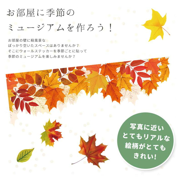 楽天市場 1日23 59まで全品ポイント5倍 ハロウィン 飾り 秋 紅葉 かぼちゃ 人気 ウォールステッカー 紅葉とパンプキン2枚 セット ステッカー 装飾 かわいい おしゃれ もみじ 貼ってはがせる 四季 植物 木 ジャックオランタン 観葉植物 ウォールステッカーの