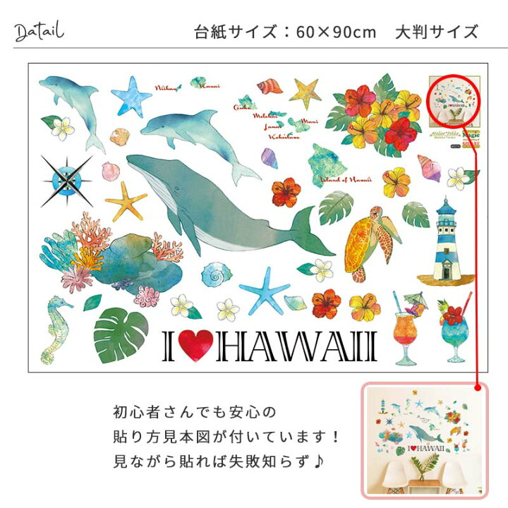 楽天市場 半額クーポン配布中 21日22時まで ウォールステッカー ハワイ 南国 Hawai ハワイアン イルカ ホヌ フロムハワイ 60 90cm シール式 大判サイズ 貼ってはがせる 壁シール 壁紙 賃貸ok おしゃれ モンステラ ハイビスカス プルメリア ワイキキ オアフ島