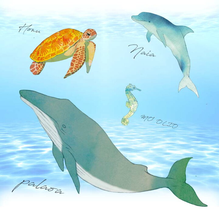 楽天市場 半額クーポン配布中 21日22時まで ウォールステッカー ハワイ 南国 Hawai ハワイアン イルカ ホヌ フロムハワイ 60 90cm シール式 大判サイズ 貼ってはがせる 壁シール 壁紙 賃貸ok おしゃれ モンステラ ハイビスカス プルメリア ワイキキ オアフ島