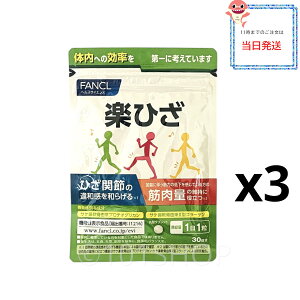 y3܃ZbgłyGzt@P fancl yЂ 90