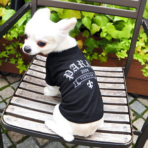 SVbNTVc S-XLTCY ybg  ̕  O  O  t  TVc  킢    D v[g a ^ ^ ` gCv[