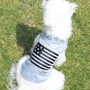 tbOTVc S-XLTCY ybg  ̕  O  O  t  TVc  킢    D v[g a ^ ^ ` gCv[